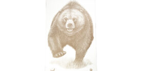 ACTION TGT AK STATE PARK BEAR 100PK