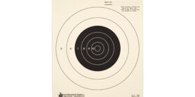 ACTION TGT BULLSEYE TAG PAPER 100PK