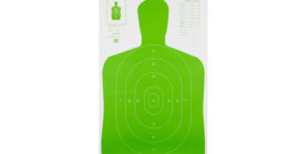 ACTION TGT HIVIS FLOR GRN B27E 100PK