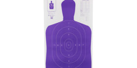 ACTION TGT HIVIS FLOR PRP B27E 100PK