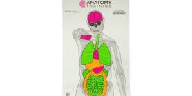 ACTION TGT ANATOMY TRNG 100PK