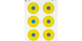 ACTION TGT BRIGHT 6 BULLSEYE 100PK