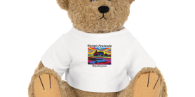 Olympic Peninsula Plush Bear Toy with T-Shirt | Great Gift for Kids | Cute Decorative Stuffed Animal | Fun Travel Souvenir | Unique [...]